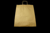 Paper Shopping Bag Large 13 x 7 x 17